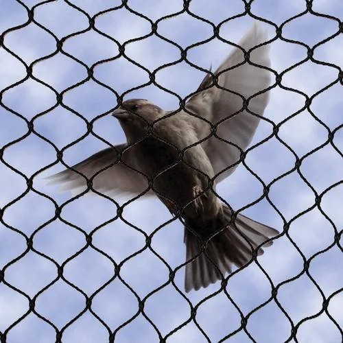 About S A Birdnetting Services